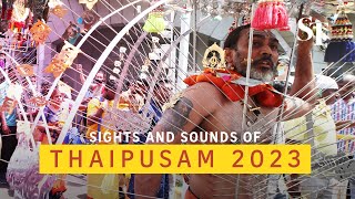 The sights and sounds of Thaipusam 2023 [upl. by Gresham]