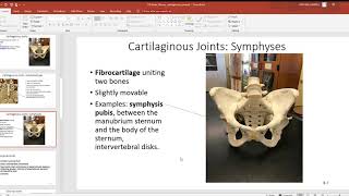 116 Joints fibrous cartilaginous synovial [upl. by Henrique]