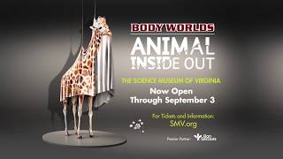 Science Museum of Virginia BODY WORLDS ANIMAL INSIDE OUT [upl. by Manvil302]