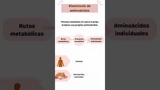 Metabolismo de los aminoácidos🥑 [upl. by Orson696]