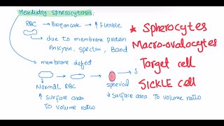 Rbc morphology haematology 24 First Aid USMLE Step 1 in UrduHindi [upl. by Ylrebmek650]