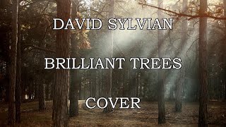 BRILLIANT TREES DAVID SYLVIAN COVER [upl. by Jarvis849]