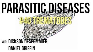 Parasitic Diseases Lectures 40 Trematodes [upl. by Ariel]