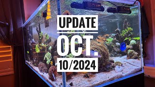 CADE 1500 SP Update for October 10 2024 [upl. by Wendalyn539]