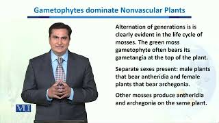 Gametophytes dominate Nonvascular Plants  Biodiversity amp EvolutionII  BT201Topic116 [upl. by Vi]