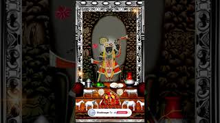 Aaj Ka Darshan Ashwin Shukla Ekadashi 28 September 2024 Shrinathji ke Darshan [upl. by Ailis]