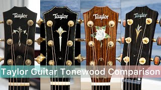 Rosewood Vs Cocobolo Vs Brazilian Vs Bocote｜Taylor Guitar Comparison [upl. by Lowe358]