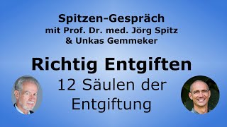 Richtig Entgiften  12 Säulen der Entgiftung  SpitzenGespräch mit Unkas Gemmeker [upl. by Gainor]