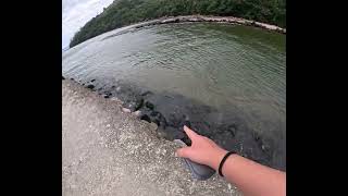 UBATUBA HOJE  Praia de Maranduba [upl. by Rico949]