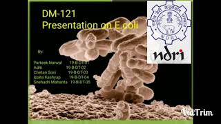 Escherichia coli in Milk and Milk Products [upl. by Siryt492]