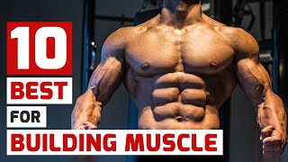 Top Trainers Agree These Are the 10 Best MuscleBuilding Exercises [upl. by Tomkiel]