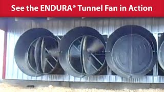 ChoreTime ENDURA® Tunnel Fan [upl. by Jarrad]