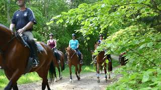 Reiturlaub in MecklenburgVorpommern [upl. by Adniram654]