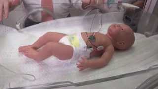 Dr Jeffrey Kaiser explains whole body cooling at Texas Childrens Newborn Center [upl. by Ulyram]