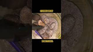 Quick amp Easy Cinnamon Pretzel Recipe  Perfect Snack in Minutes [upl. by Ytak]