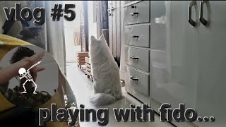 Vlog 5 Playing with fido 😍🐶 [upl. by Maurits]