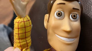 Woody goes to WALMART [upl. by Staten]