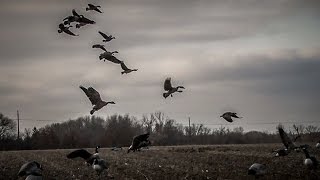 Waterfowl Hunting Long December  Fowled Reality [upl. by Durno]