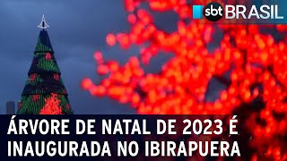 Árvore de Natal de 2023 é inaugurada no Ibirapuera  SBT Brasil 021223 [upl. by Hadley210]