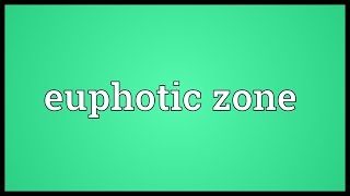 Euphotic zone Meaning [upl. by Narah]