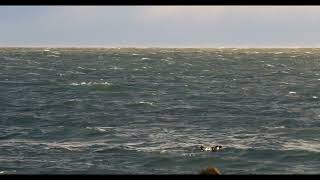 Stormy Waves on a Beach on Nantucket Sound at Cape Cod Massachusetts  Stock footage 151c [upl. by Arnulfo]