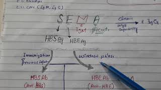 Hepatitis B serological markers with super easy mnemonic [upl. by Anot763]