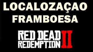 LOCALIZAÇÃO FRAMBOESA  RED DEAD ONLINE [upl. by Sualk]