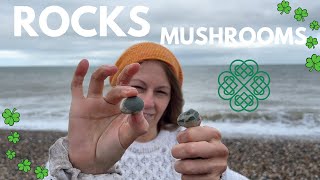 Irish Coast Mushroom Hunting [upl. by Saturday]