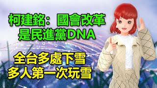 柯建銘：國會改革是民進黨DNA｜全台多處下雪！許多人今生第一次玩雪 🍓20240123 高雄林小姐 Vtuber​​​​ 台灣Vtuber​​​ 台V [upl. by Toms]