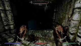 Lets Play Skyrim  Partie 23  Massacre au phare dHiveronde [upl. by Atekin]