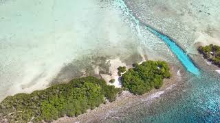 Drone Aerial video of the famous Black Coral Island of Pohnpei Ponape State FSM [upl. by Nalat]