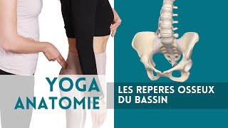 Yoga amp Anatomie  les repères du bassin [upl. by Parris]