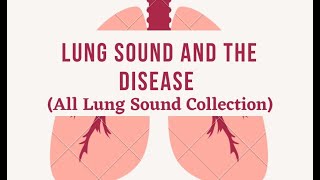 All Lung Sounds Collection With Disease Very Easy amp Learn Fast [upl. by Hadias556]