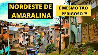 Assim é o NORDESTE DE AMARALINA [upl. by Tipton325]