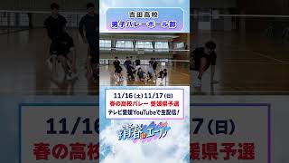 春高バレー2024意気込み動画 [upl. by Sandie578]