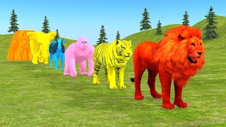 Long Slide Game With Elephant Gorilla Buffalo Hippopotamus Tiger  3d Animal Game  Funny 3d Animals [upl. by Gaulin719]