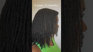 My almost 4 year LOC JOURNEY in PICTURES locs locjourney [upl. by Lowell]