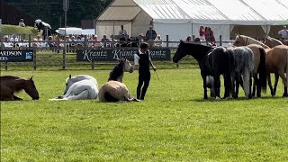 Lincolnshire Show 2024 Shetland pony grand national 1 man talks to 8 horses amp much more [upl. by Aronos436]