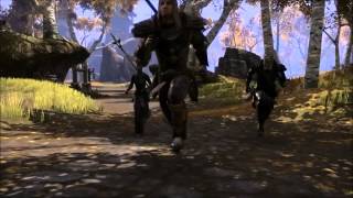 The Elder Scrolls Online  Trailer HD E3 2013 [upl. by Yanahc]