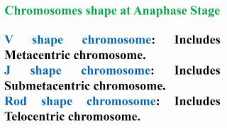 Meaning of Chromosomes Sizes and Shapes [upl. by Ailak376]