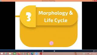 Introduction to Parasitology  Dr Ahmed Saad [upl. by Etselec391]