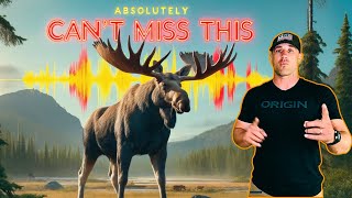 How to Game Plan for a Successful Moose Hunt [upl. by Cargian]