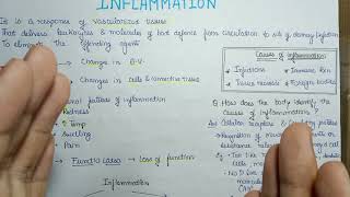 inflammation  introduction basics of inflammation [upl. by Werdna]