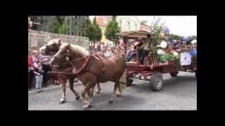 200 Jahre Brunnenfest Bad Langensalza Umzug 2012 [upl. by Aikahs]