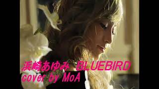 浜崎あゆみ BLUEBIRD cover by MoA [upl. by Torruella]