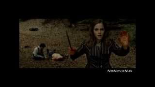 Deathly Hallows Part 1  Extended Scene  Forest after the Ministry FANMADE [upl. by Haley]