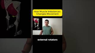 Muscle ImbalancesRetrain your Weak muscles physiotherapy mobility strength functionaltraining [upl. by Tad]