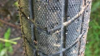 Schwalbe Super Moto X Review [upl. by Peyter]