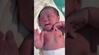 This newborns chest bulges when she cries its so interesting [upl. by Dyane]