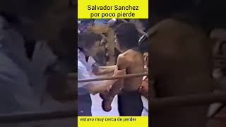 Por poco pierde Salvador Sanchez se tambaleo boxing [upl. by Irafat]